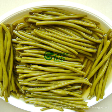 Canned Vegetables of French Green Beans